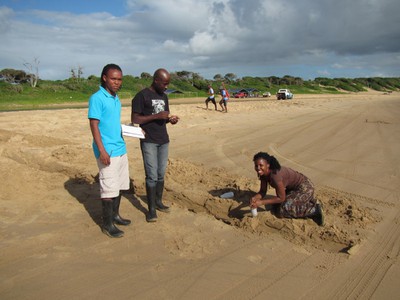 Collecting soil samples