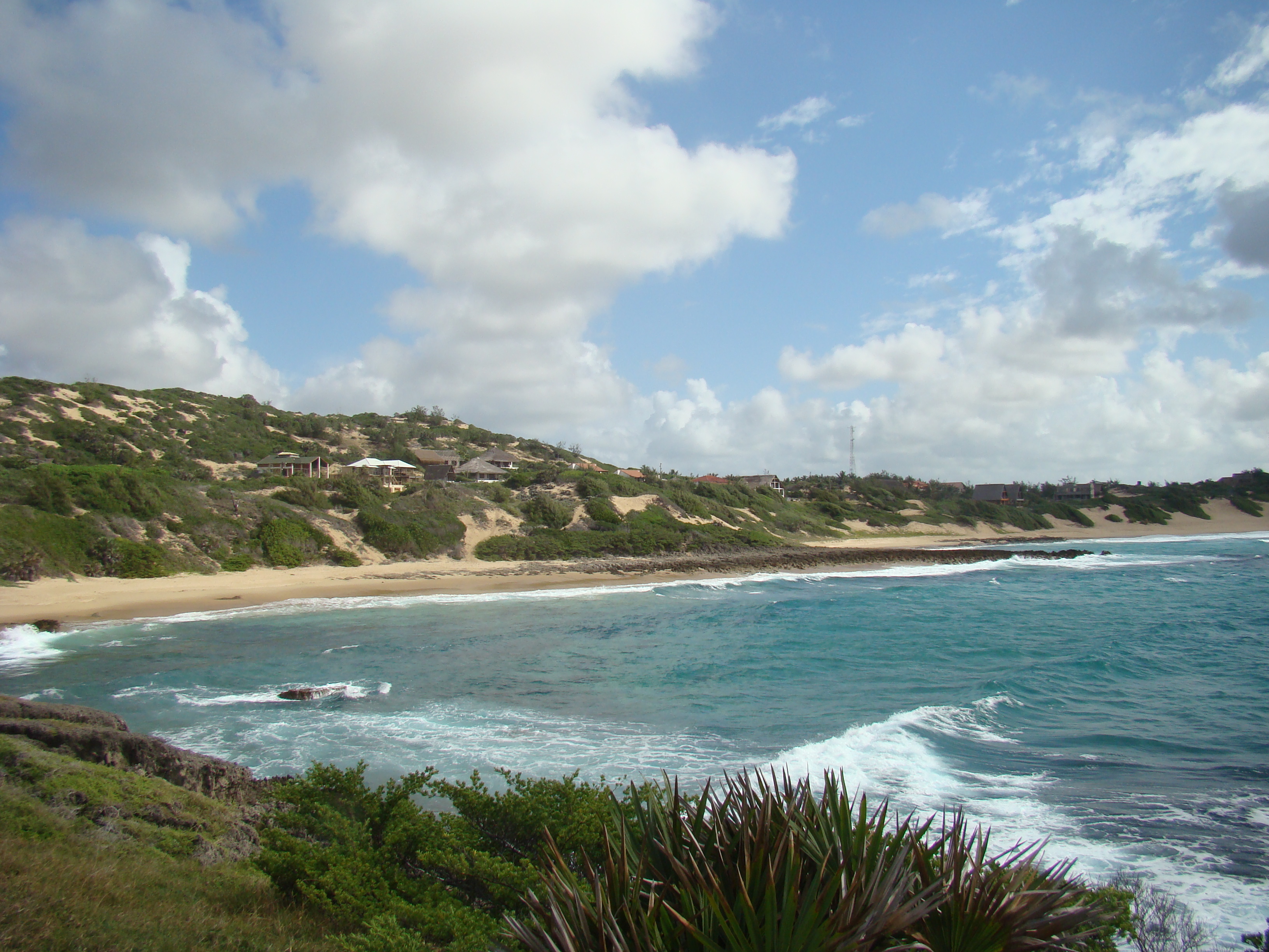 Inhambane Tofo  22 05 2010 A Maherry CSIR DSC04180