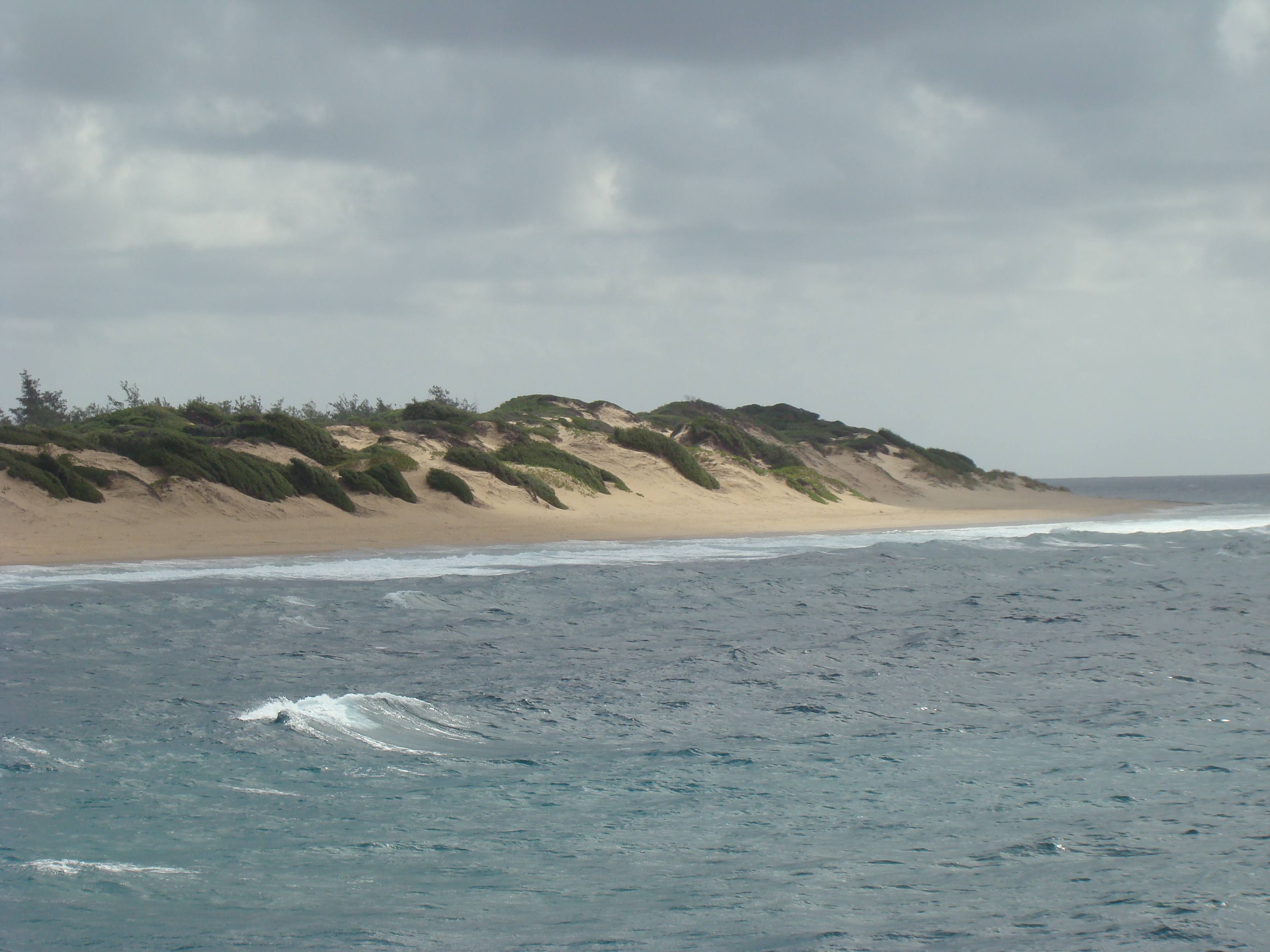 Inhambane Tofo  22 05 2010 A Maherry CSIR DSC04186