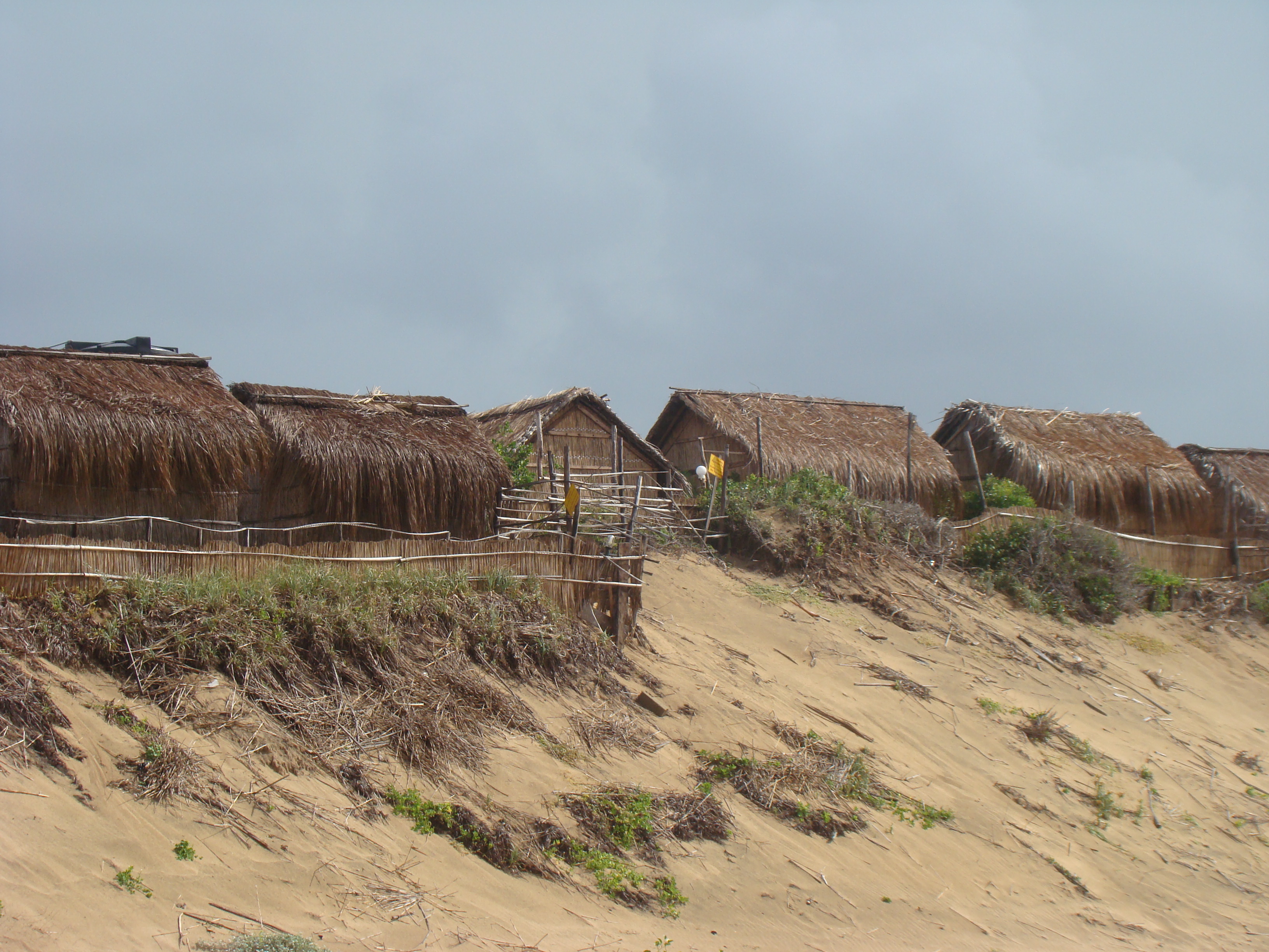 Inhambane Tofo  22 05 2010 A Maherry CSIR DSC04212