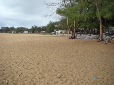 Inhambane Tofo  22 05 2010 A Maherry CSIR DSC04223