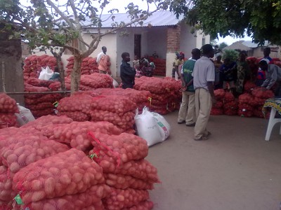 potato seeds