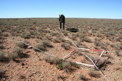 Carnarvon Grazing Trials