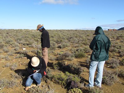 Tierberg Plant Demography