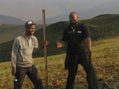 Marking vegetation plots