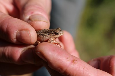 Nature lovers