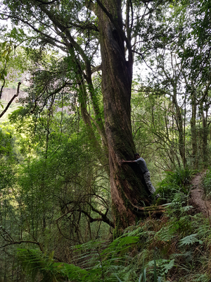 Sachin Doarsamy DST-NRF-SAEON intern at the Grassland-Forest-Wetland node (2019/2020)